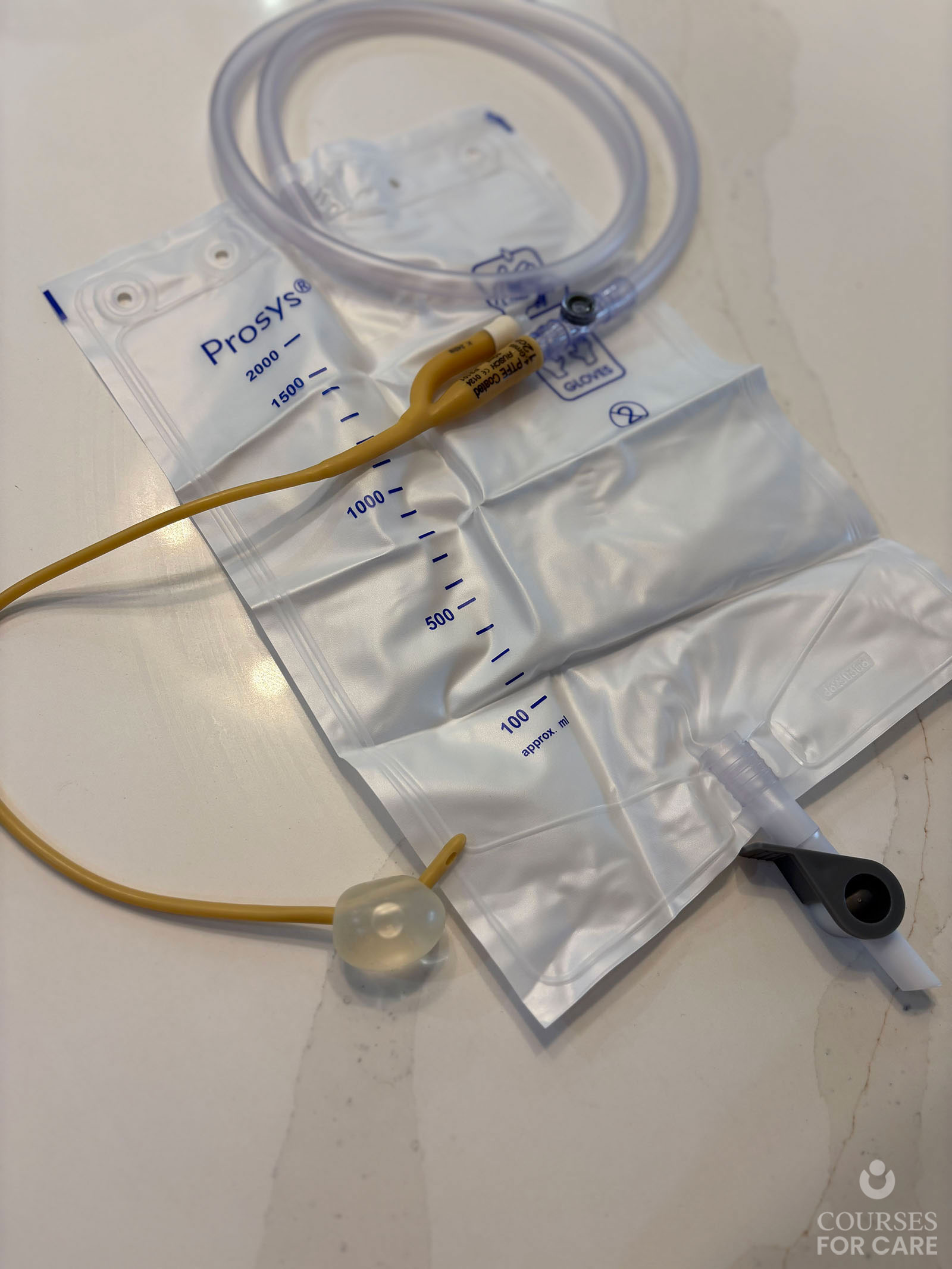 Catheterisation Training Level 3 Main Image